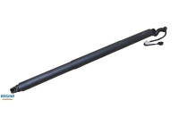 Gas spring, trunk