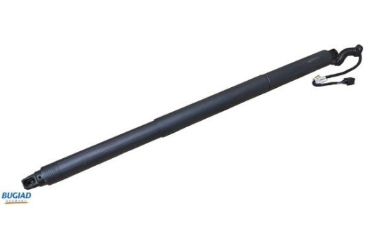 Gas spring, trunk