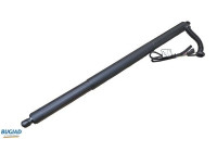 Gas spring, trunk
