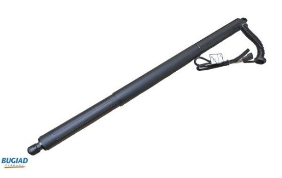 Gas spring, trunk