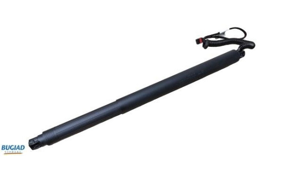 Gas spring, trunk