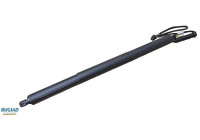 Gas spring, trunk