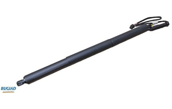 Gas spring, trunk