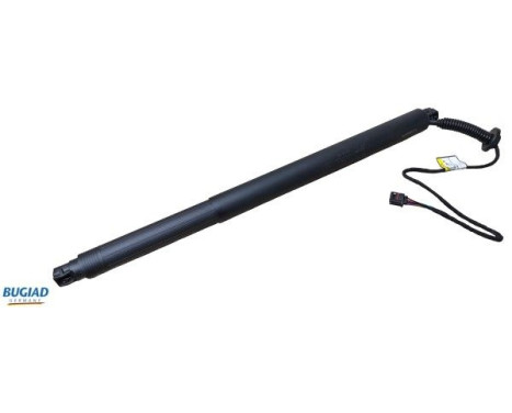 Gas spring, trunk