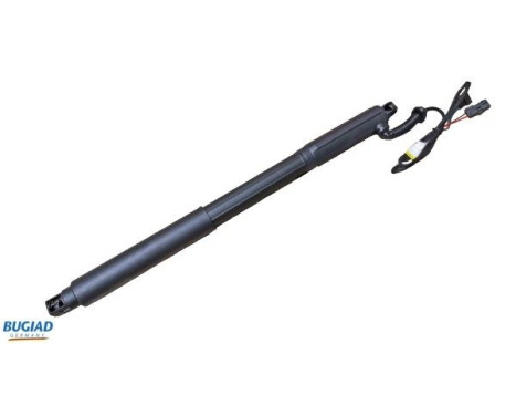 Gas spring, trunk