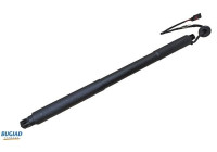 Gas spring, trunk