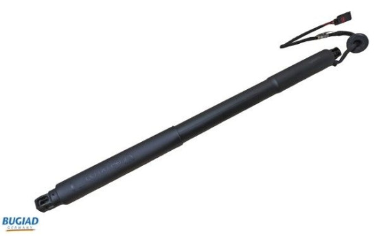 Gas spring, trunk