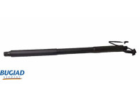 Gas spring, trunk