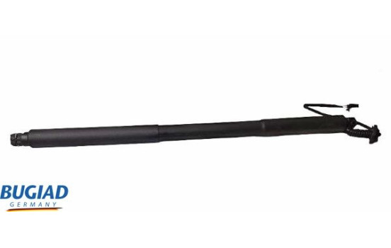 Gas spring, trunk