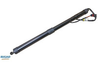 Gas spring, trunk