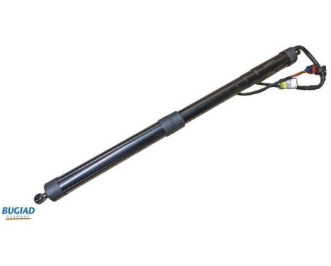 Gas spring, trunk