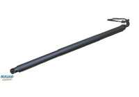 Gas spring, trunk