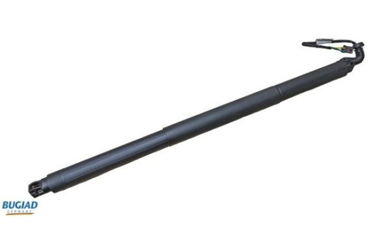 Gas spring, trunk