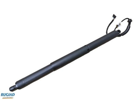 Gas spring, trunk