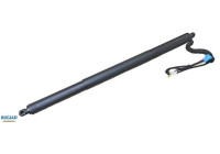 Gas spring, trunk