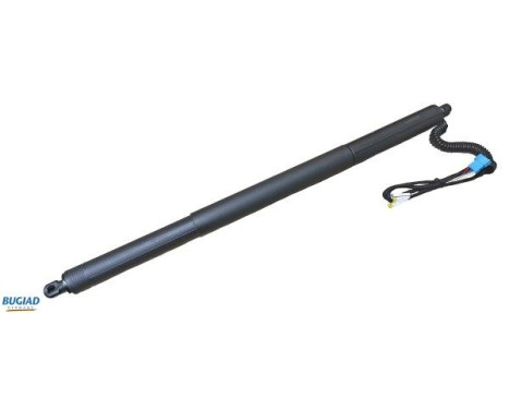 Gas spring, trunk