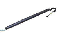 Gas spring, trunk