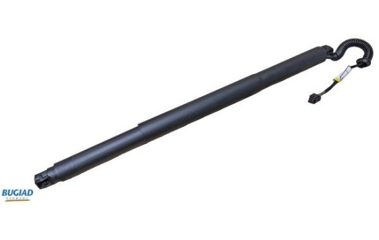 Gas spring, trunk