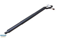 Gas spring, trunk
