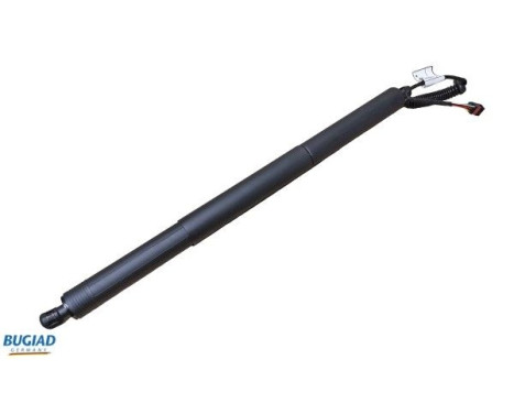 Gas spring, trunk