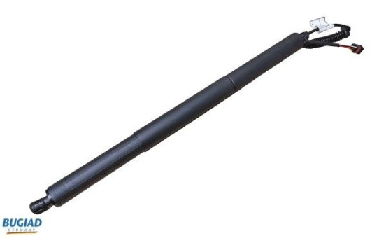 Gas spring, trunk