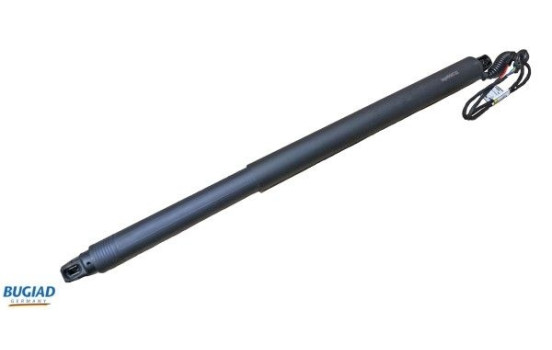 Gas spring, trunk