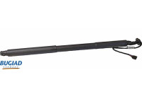 Gas spring, trunk