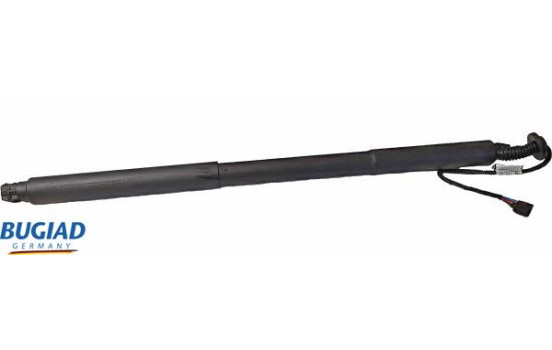Gas spring, trunk