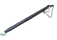Gas spring, trunk