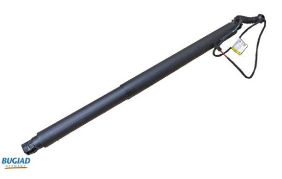 Gas spring, trunk