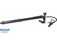 Gas spring, trunk