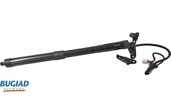 Gas spring, trunk