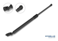 Gas spring, trunk