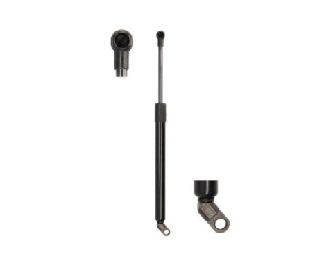 Gas spring, trunk