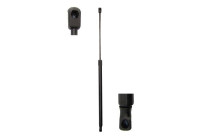 Gas spring, trunk