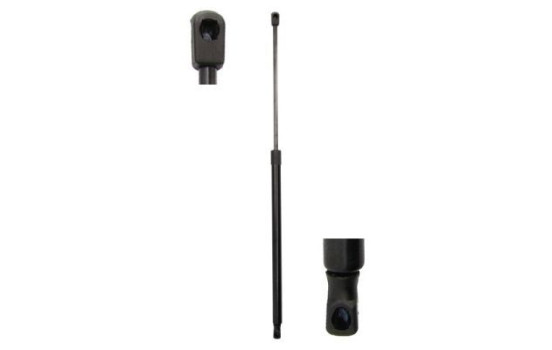 Gas spring, trunk