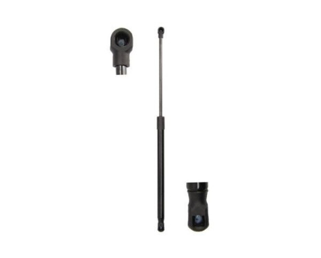 Gas spring, trunk