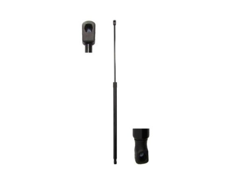 Gas spring, trunk