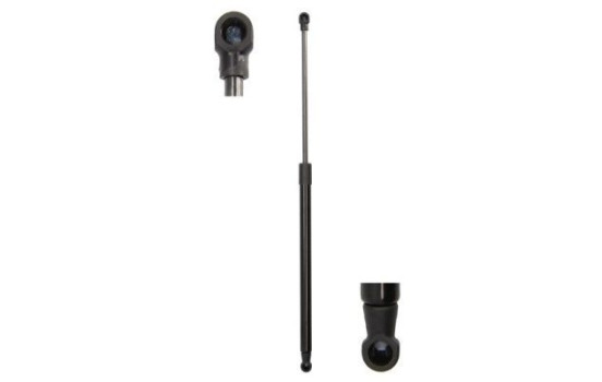 Gas spring, trunk