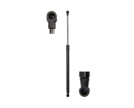 Gas spring, trunk