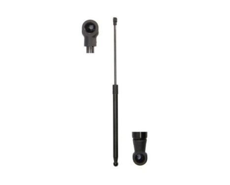 Gas spring, trunk