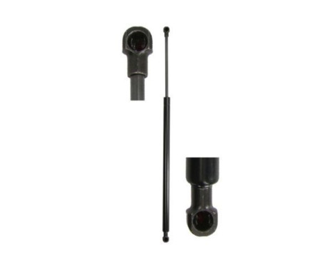 Gas spring, trunk