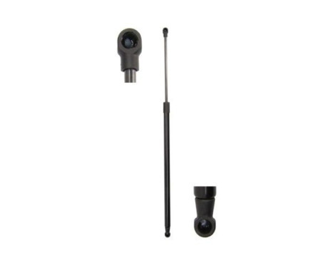 Gas spring, trunk