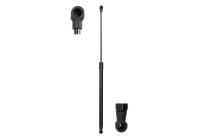 Gas spring, trunk