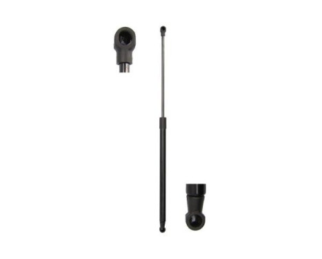 Gas spring, trunk