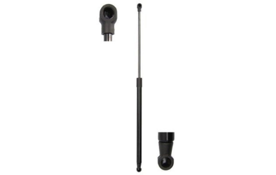 Gas spring, trunk