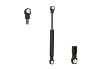 Gas spring, trunk