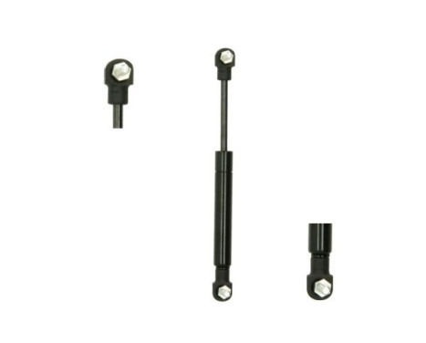 Gas spring, trunk