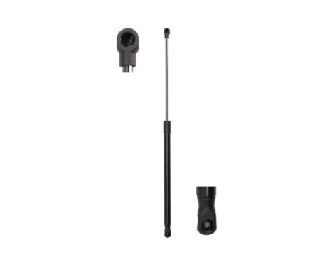 Gas spring, trunk