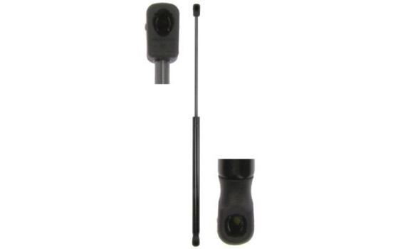 Gas spring, trunk